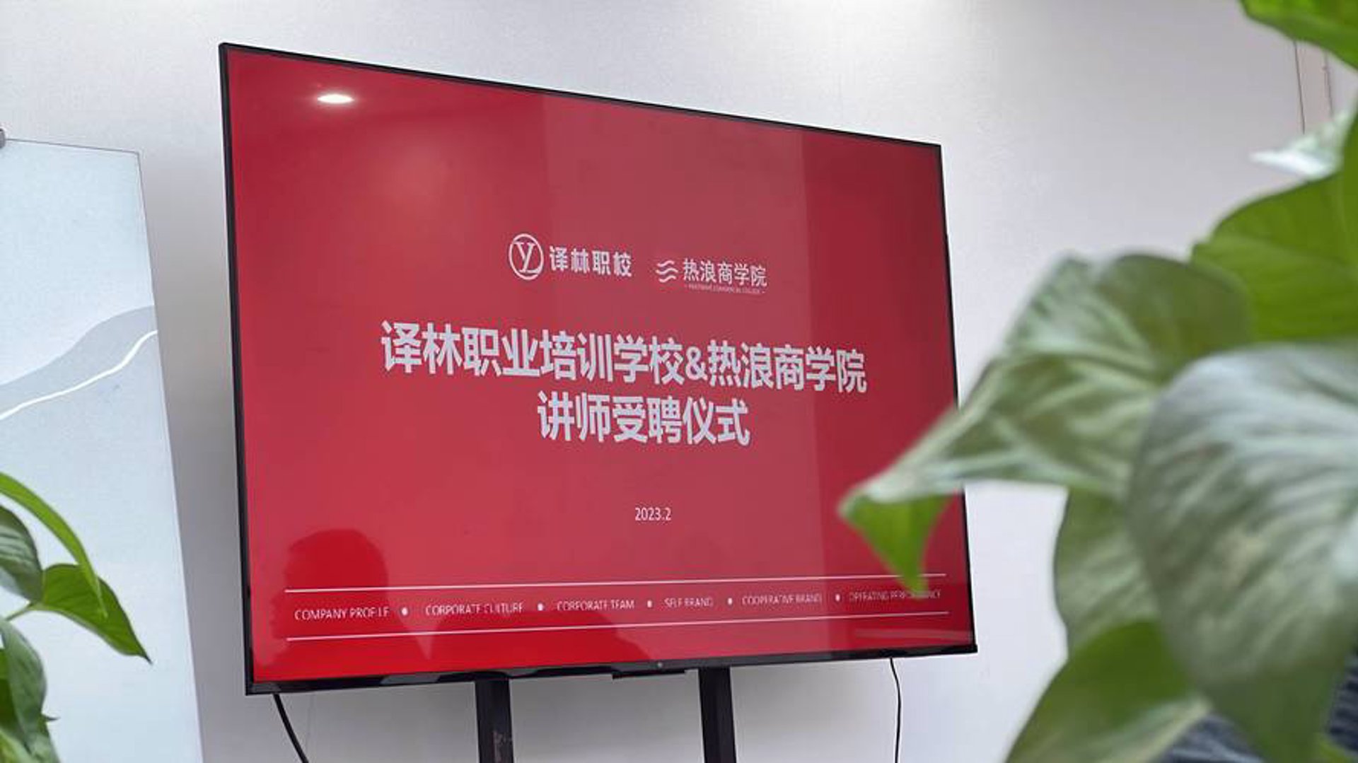 译林教育咨询